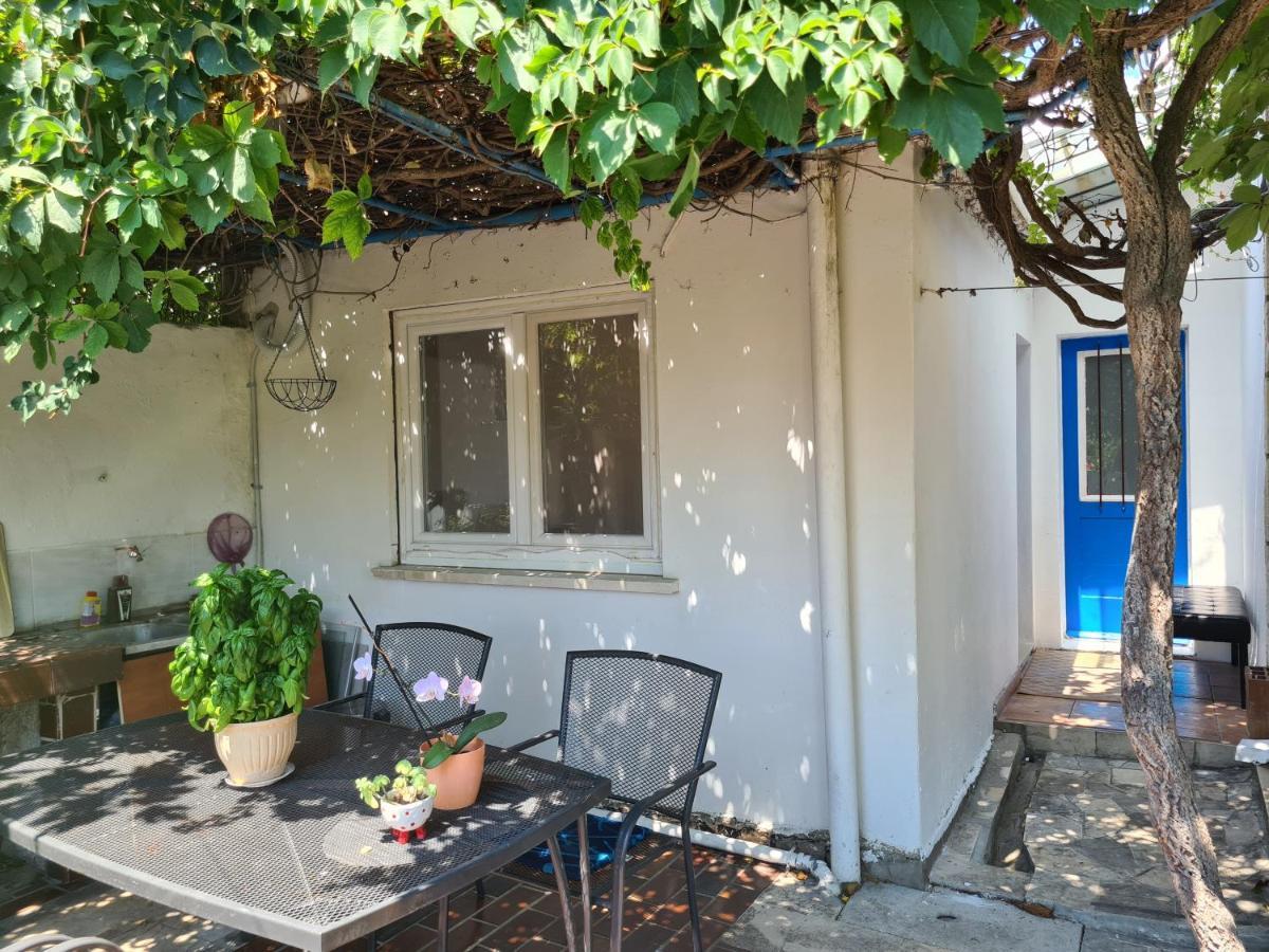 Studio Apartment Garden Dubrovnik Eksteriør billede