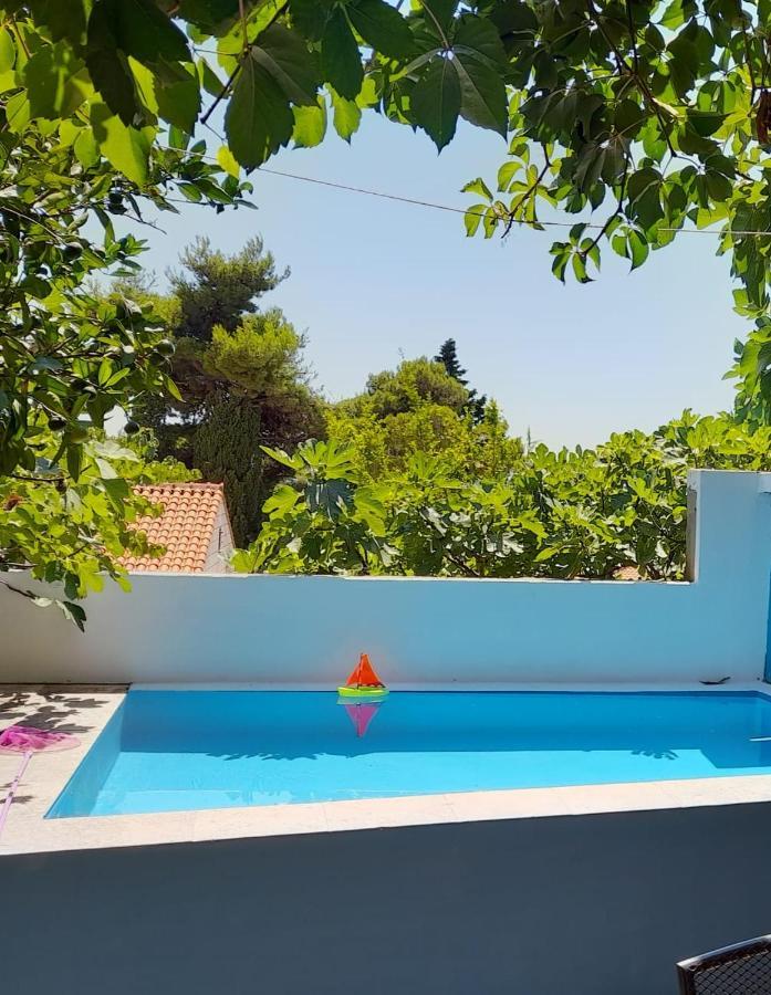 Studio Apartment Garden Dubrovnik Eksteriør billede